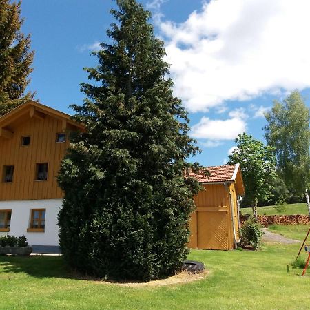 Lovely Holiday Home In Viechtach Near The Forest Exterior foto